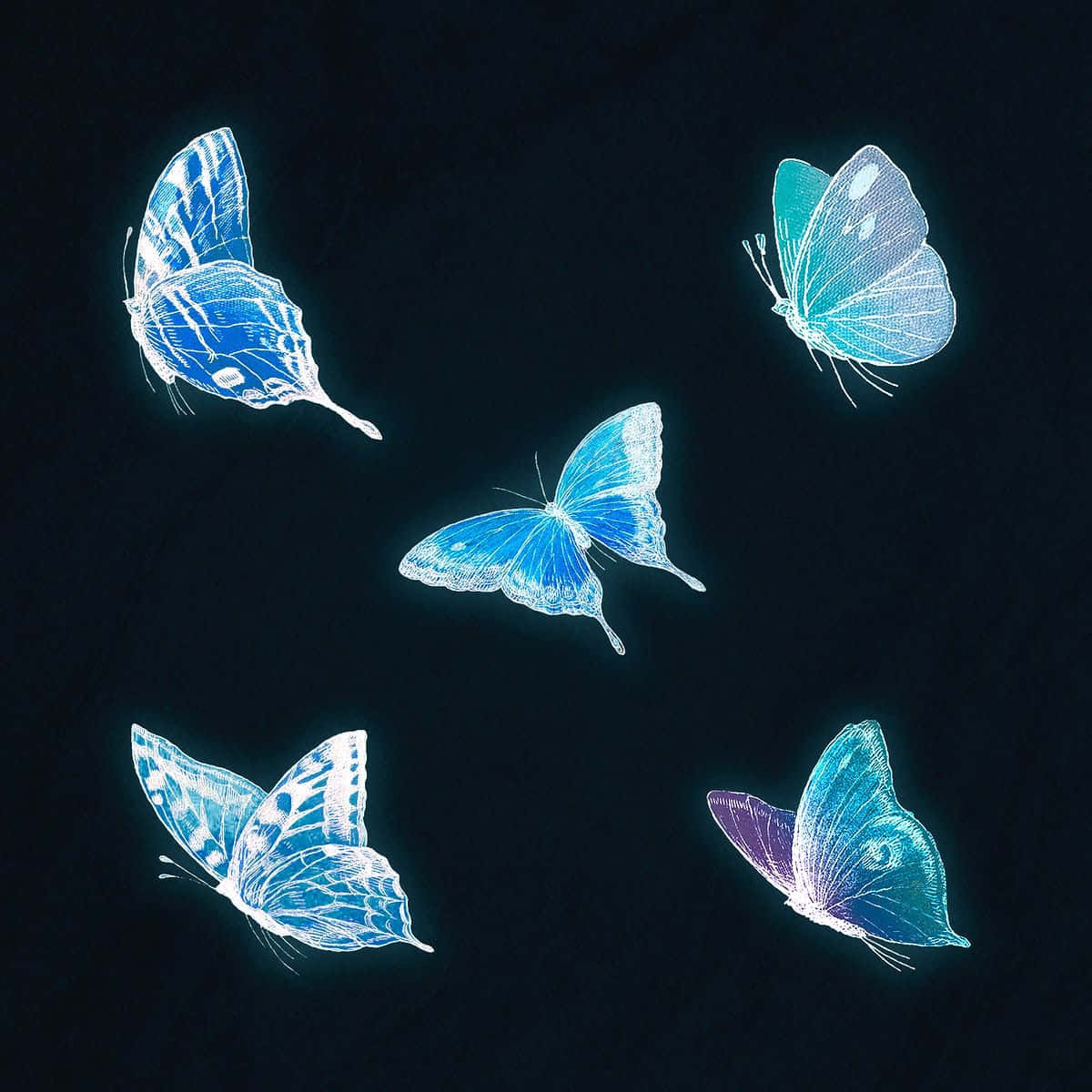 Neon Blue Butterflieson Dark Background Wallpaper