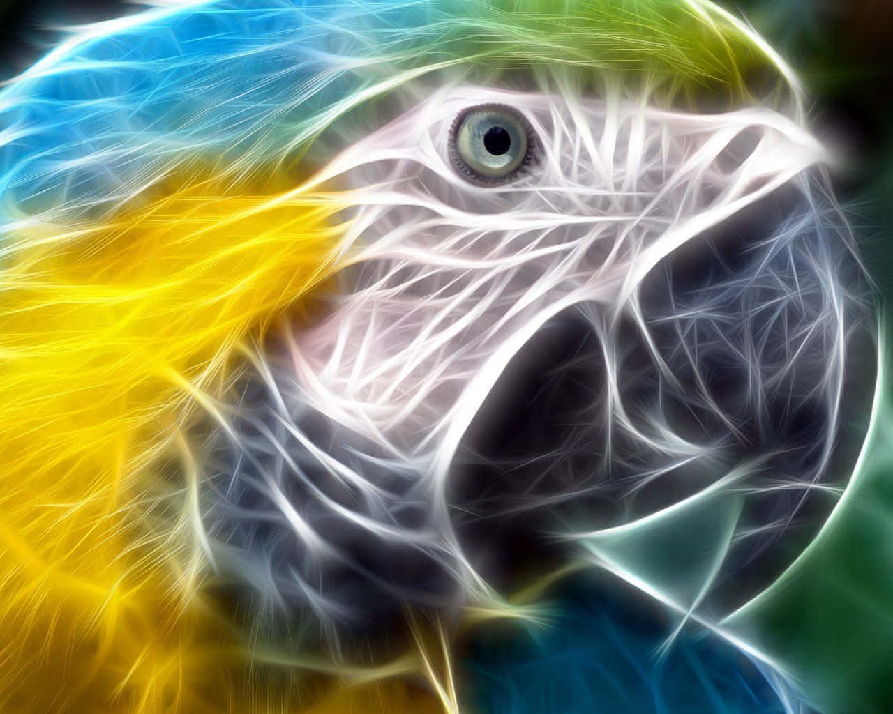 Neon Effect Parrot Portrait Wallpaper