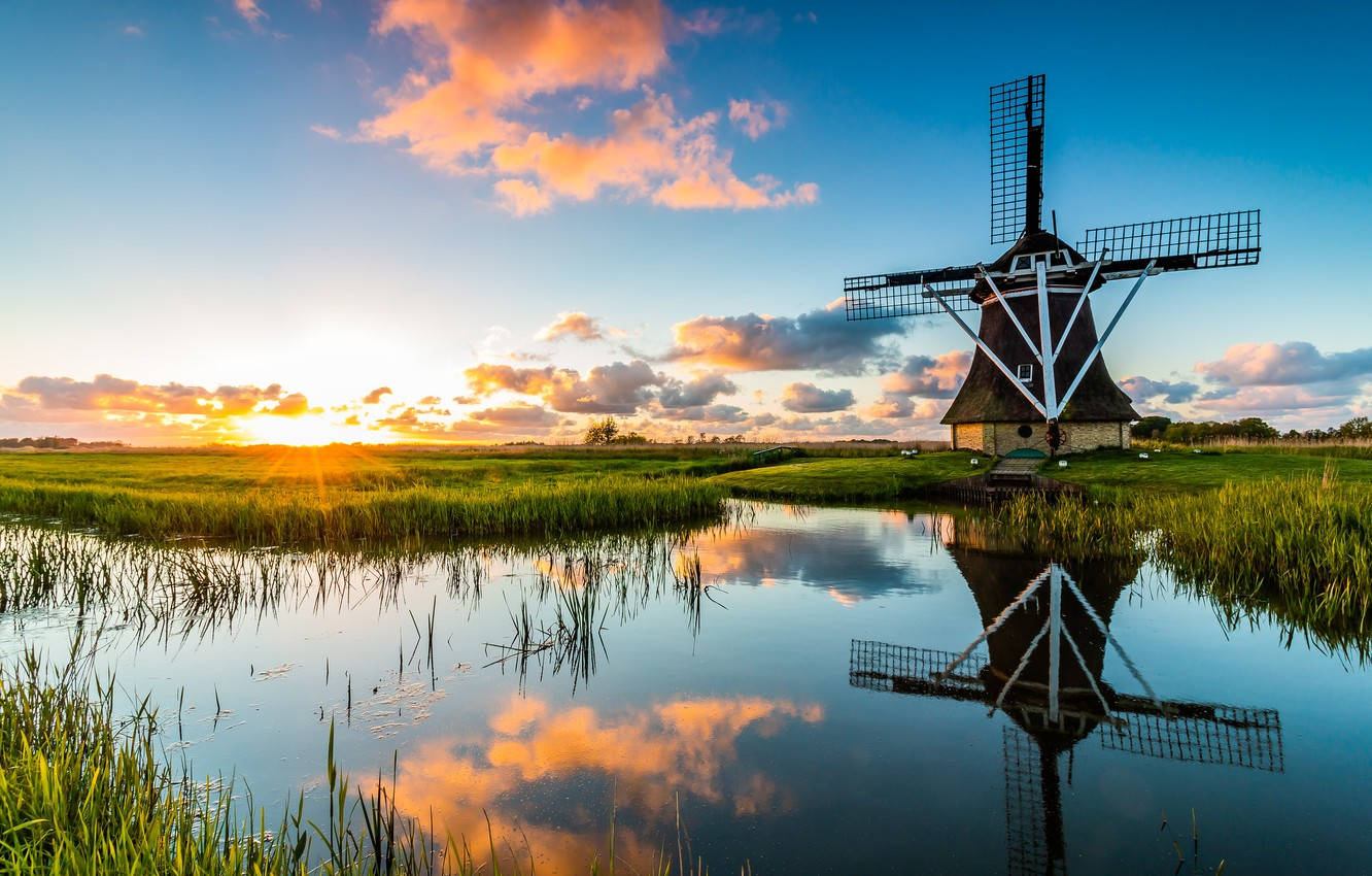 Netherlands Windmill Farm Wallpaper