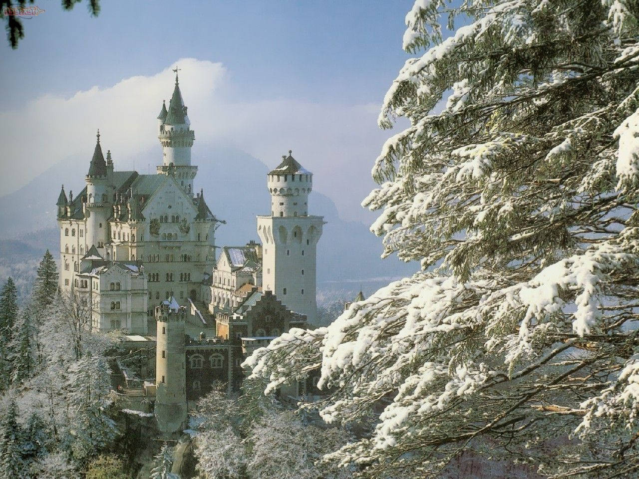 Neuschwanstein Castle Snow-covered Tree Wallpaper