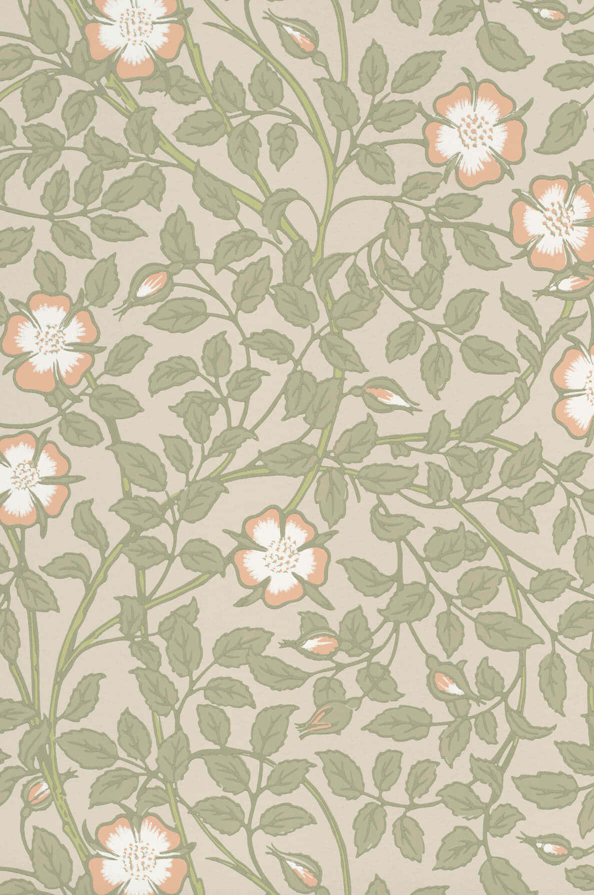 Neutral Floral Pattern Background Wallpaper