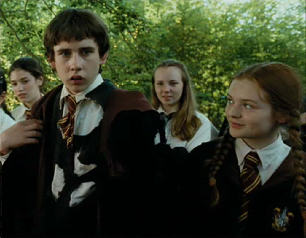 Neville Longbottom: The Growth Of A True Gryffindor Wallpaper