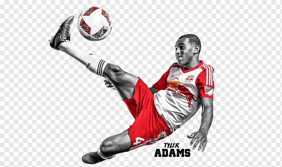 New York Red Bulls Tyler Adams Wallpaper