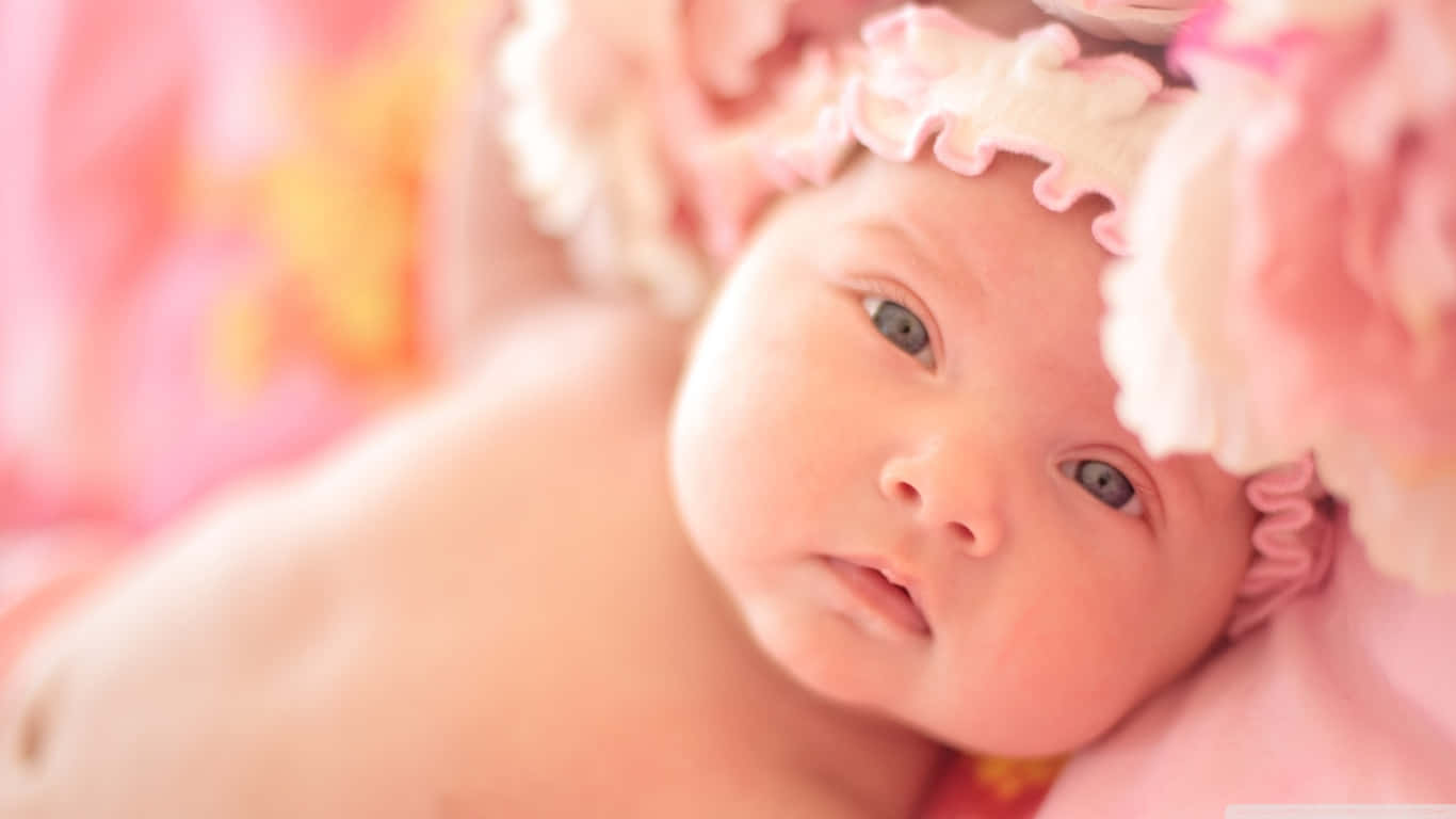 Newborn In Pink Bonnet Wallpaper