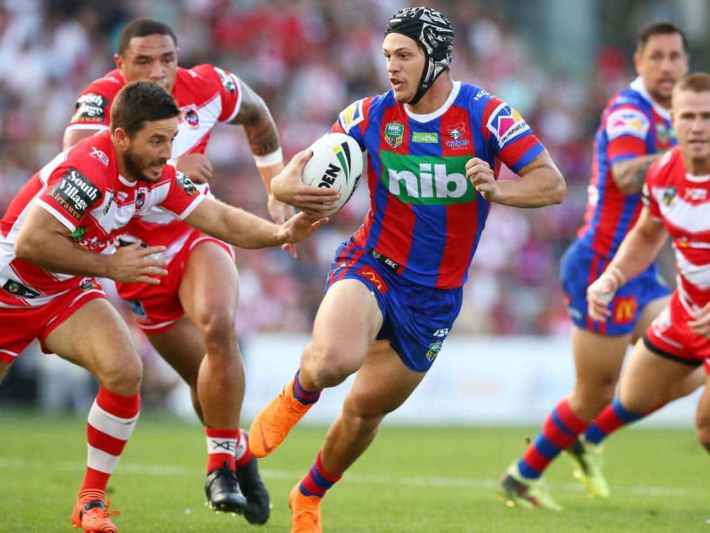 Newcastle Knights Wallpaper