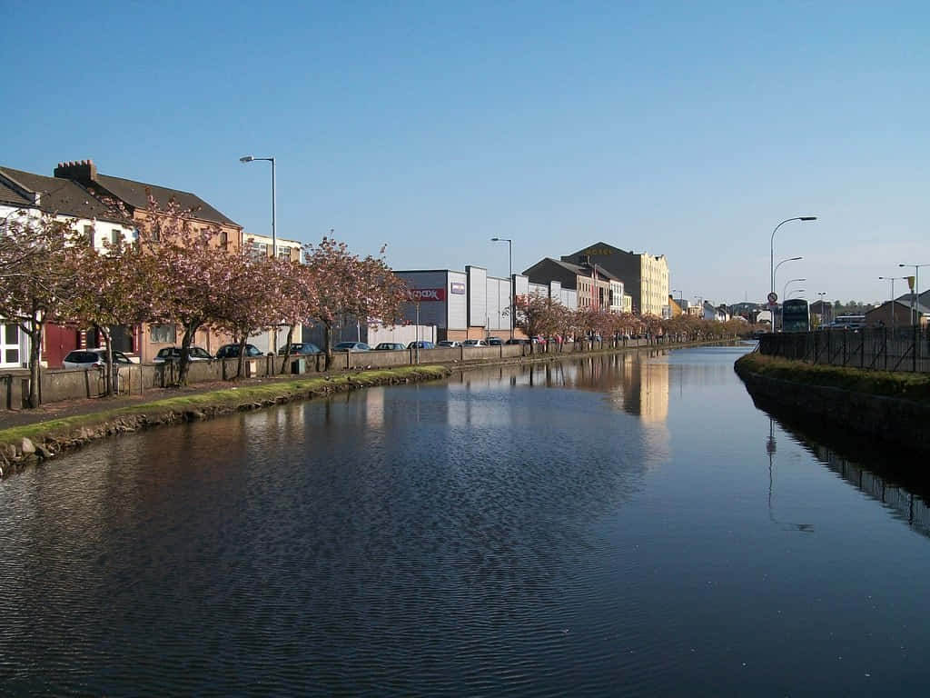 Newry Canal Springtime Scenery Wallpaper