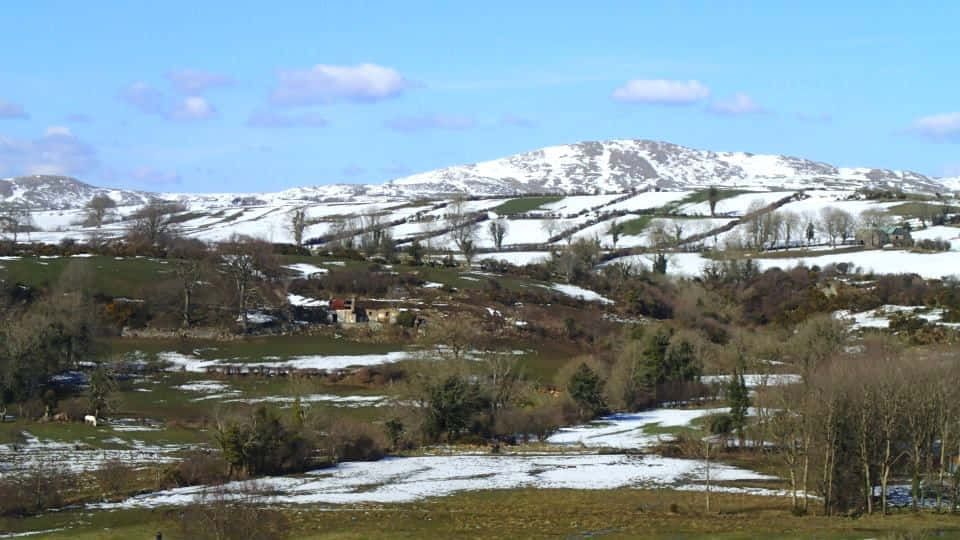 Newry Winter Landscape Snow Wallpaper