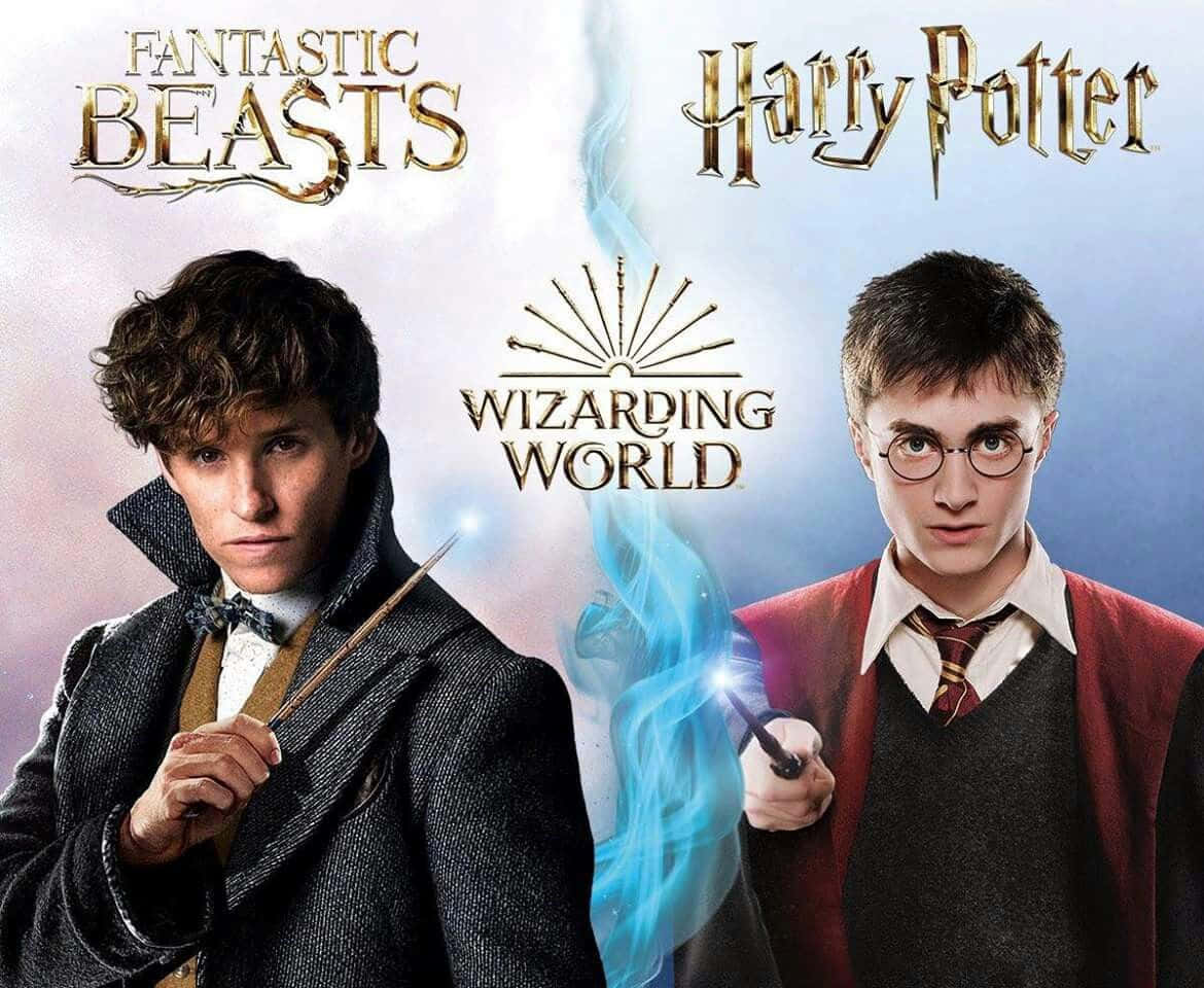 Newt Scamander And Magical Creatures From Fantastic Beasts Wallpaper