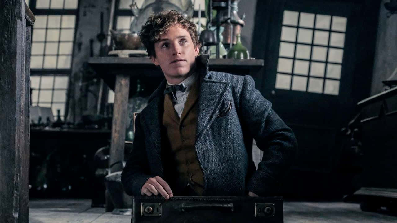 Newt Scamanderin Magical Workshop Wallpaper