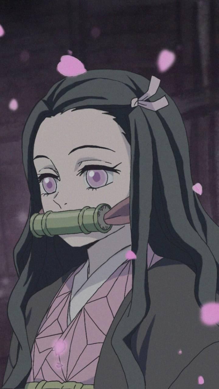 Nezuko's Adiction To Her Iphone Wallpaper