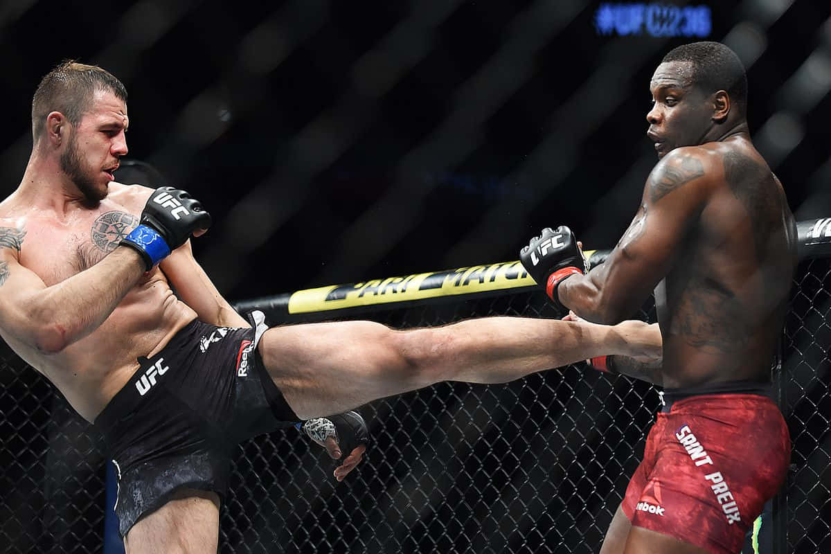 Nikita Krylov Front Kick Wallpaper