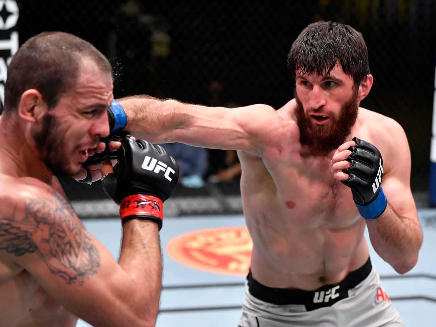 Nikita Krylov Getting Punched Wallpaper