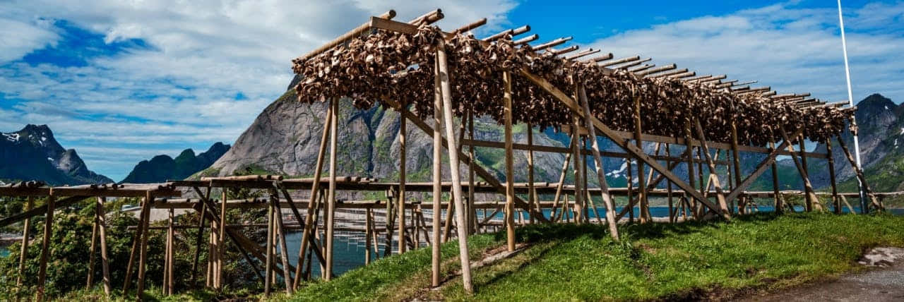 Norwegian Fish Drying Racks Wallpaper