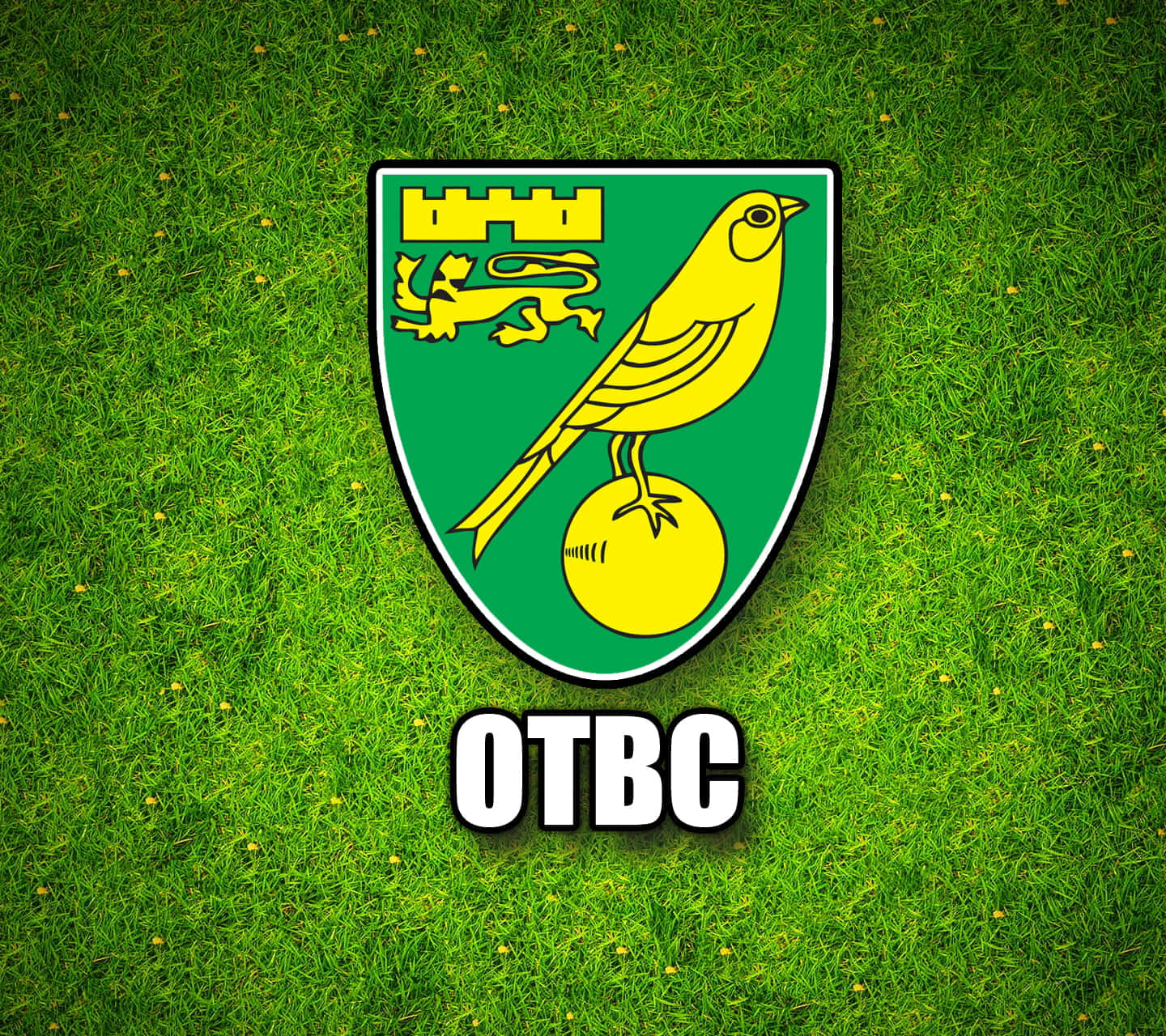 Norwich City Wallpaper