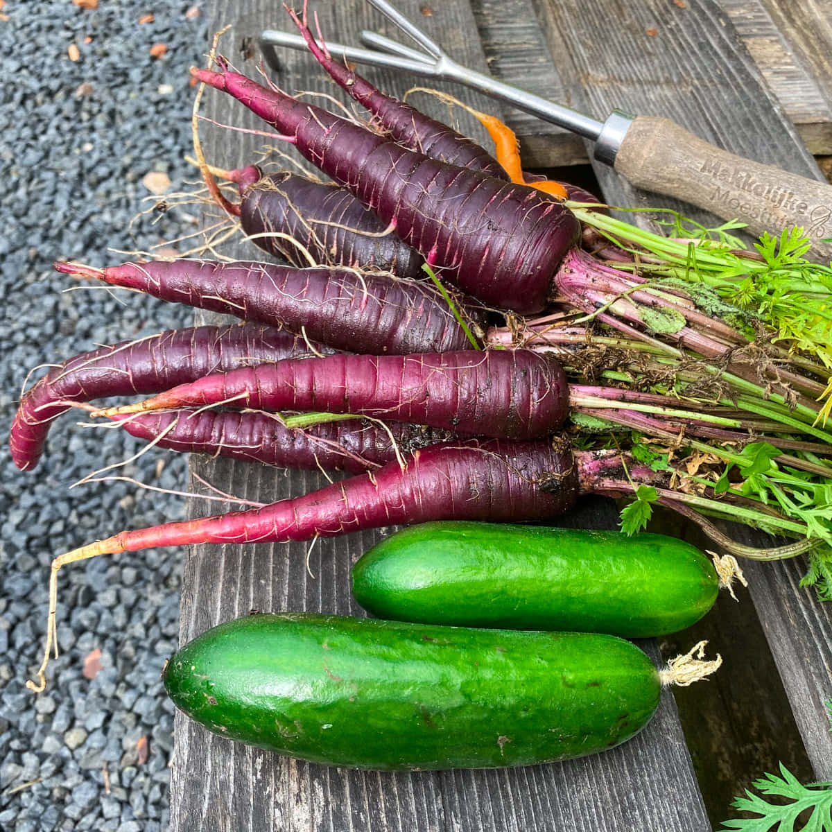 Nourishing And Antioxidant-packed: Enjoy The Unique Taste Of Purple Carrots! Wallpaper