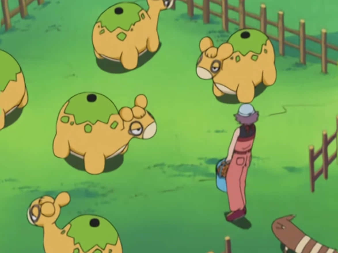 Numel Pokémons In The Yard Wallpaper