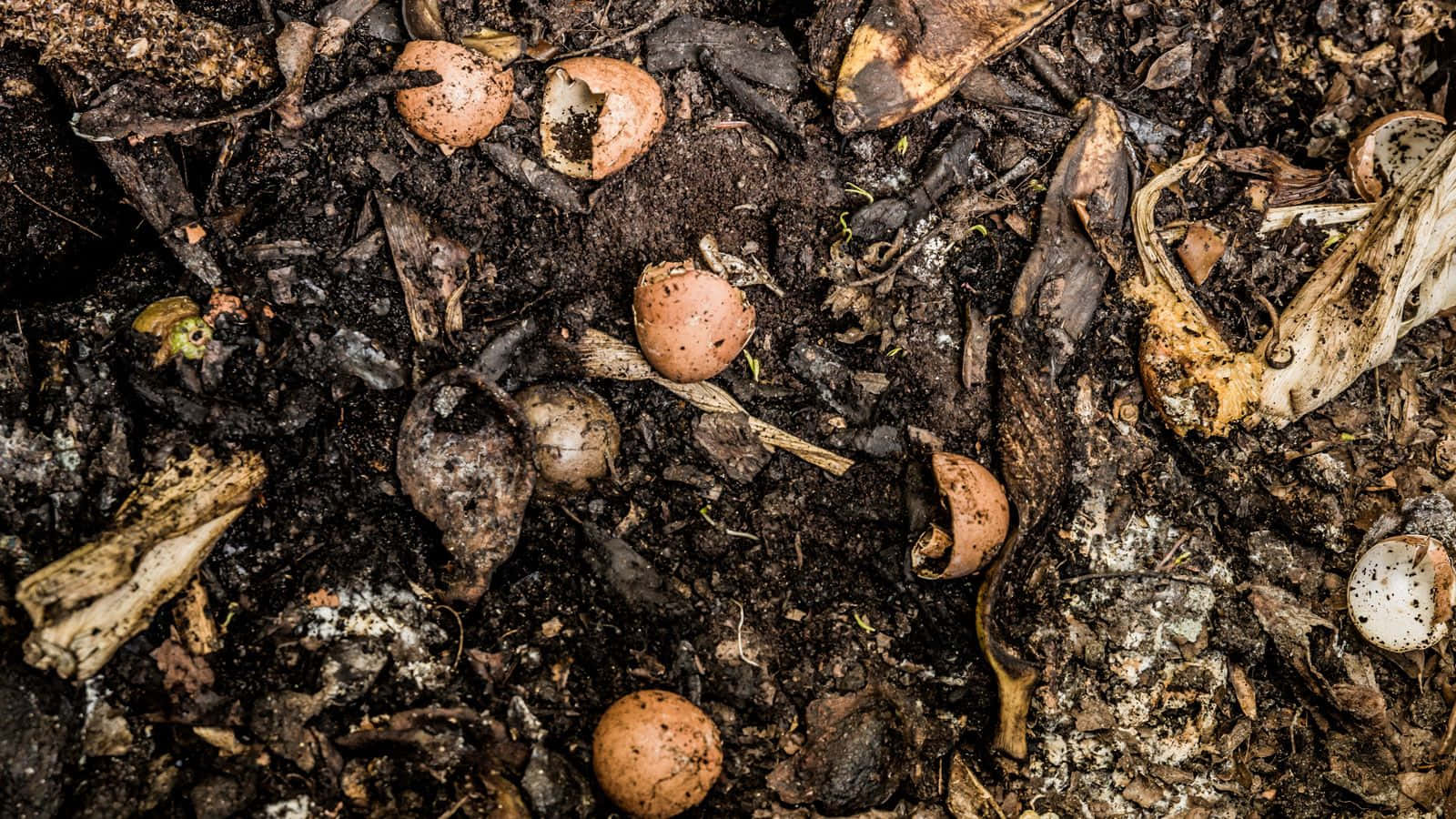 Nutrient-rich Compost Heap For A Healthy And Sustainable Garden Wallpaper