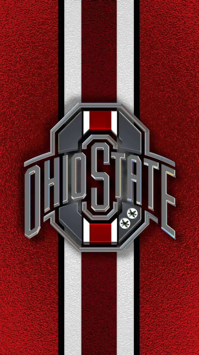 Ohio State Football Fan Showing Their Buckeye Pride. Wallpaper