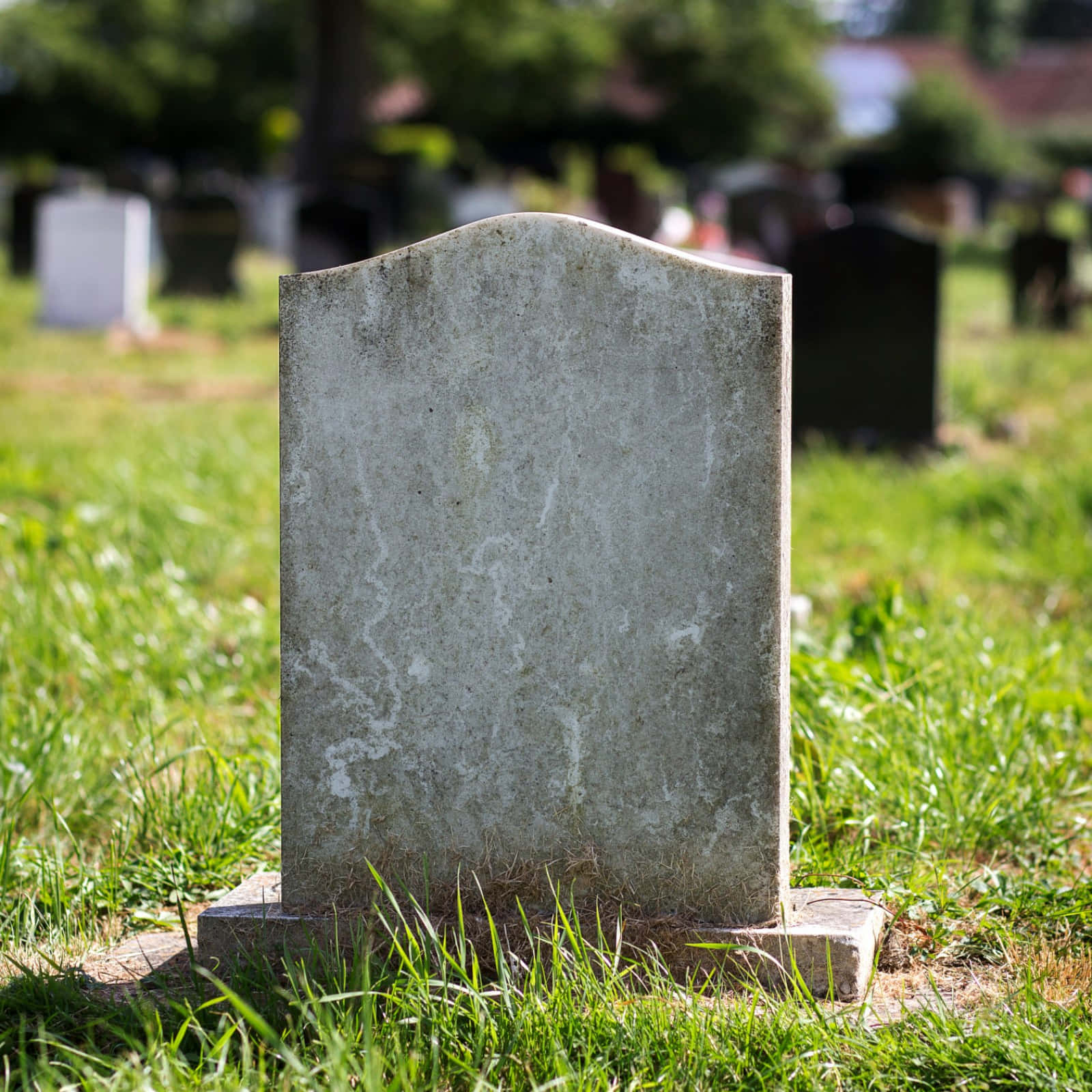 Old Gravestone With Intricate Engravings On A Cemetery Wallpaper