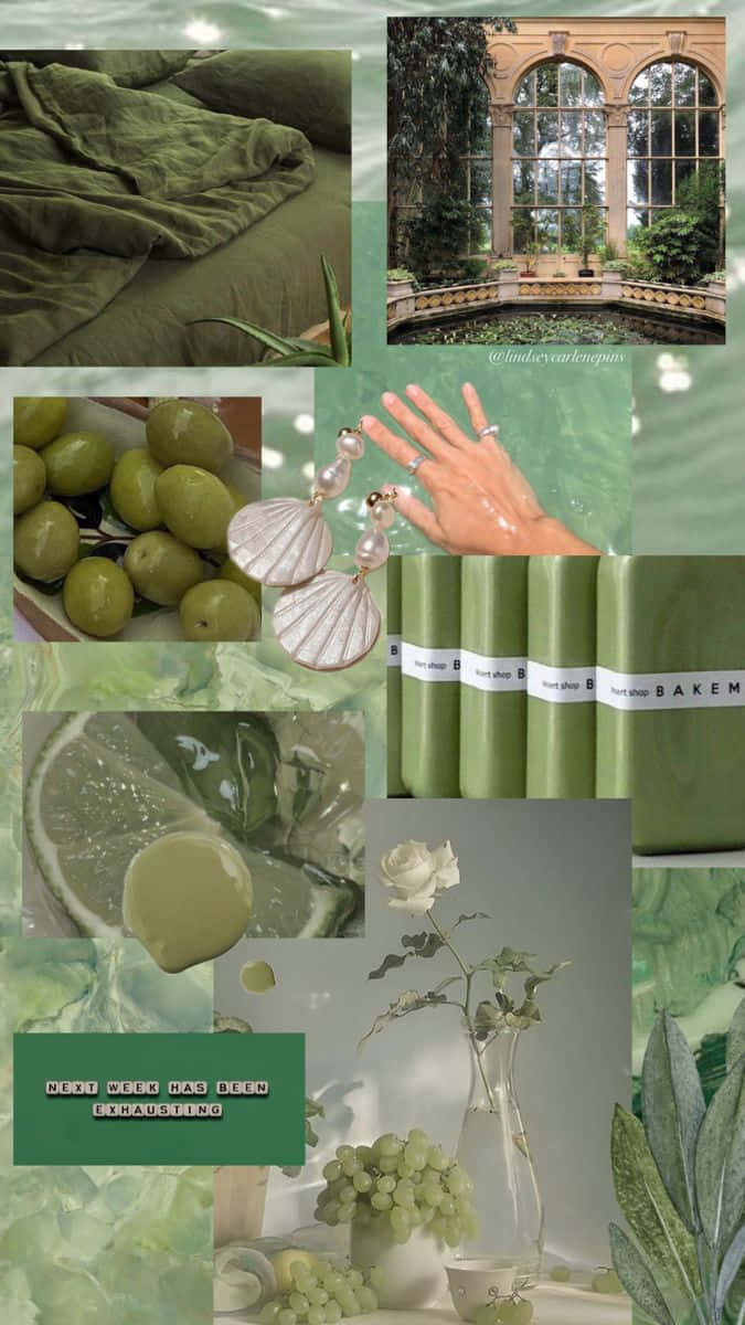 Olive Green Aesthetic Collage Wallpaper