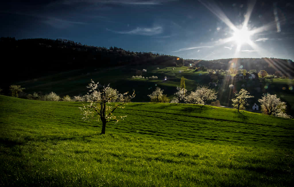 Olten Stunning Evening View Wallpaper