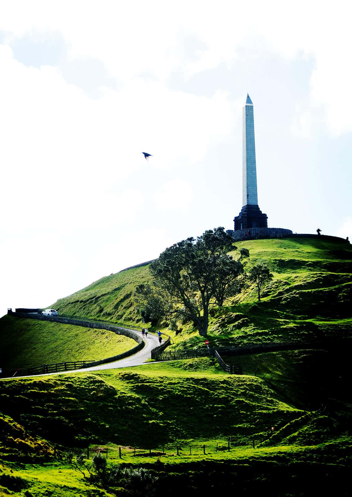 One Tree Hill Monument Auckland Wallpaper