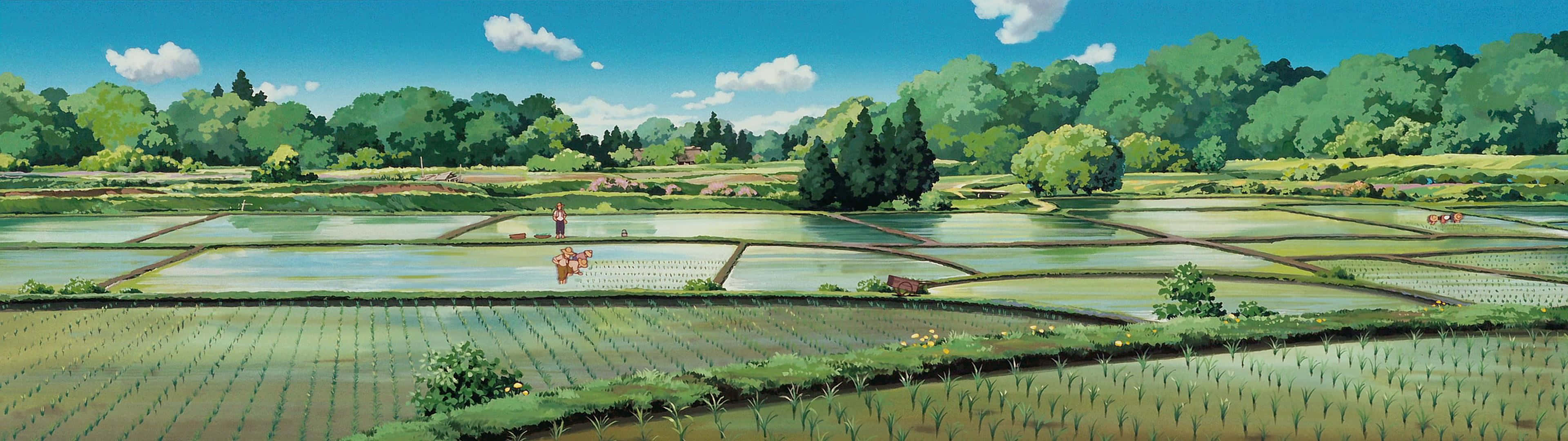 Only Yesterday Anime Film Scenery Wallpaper