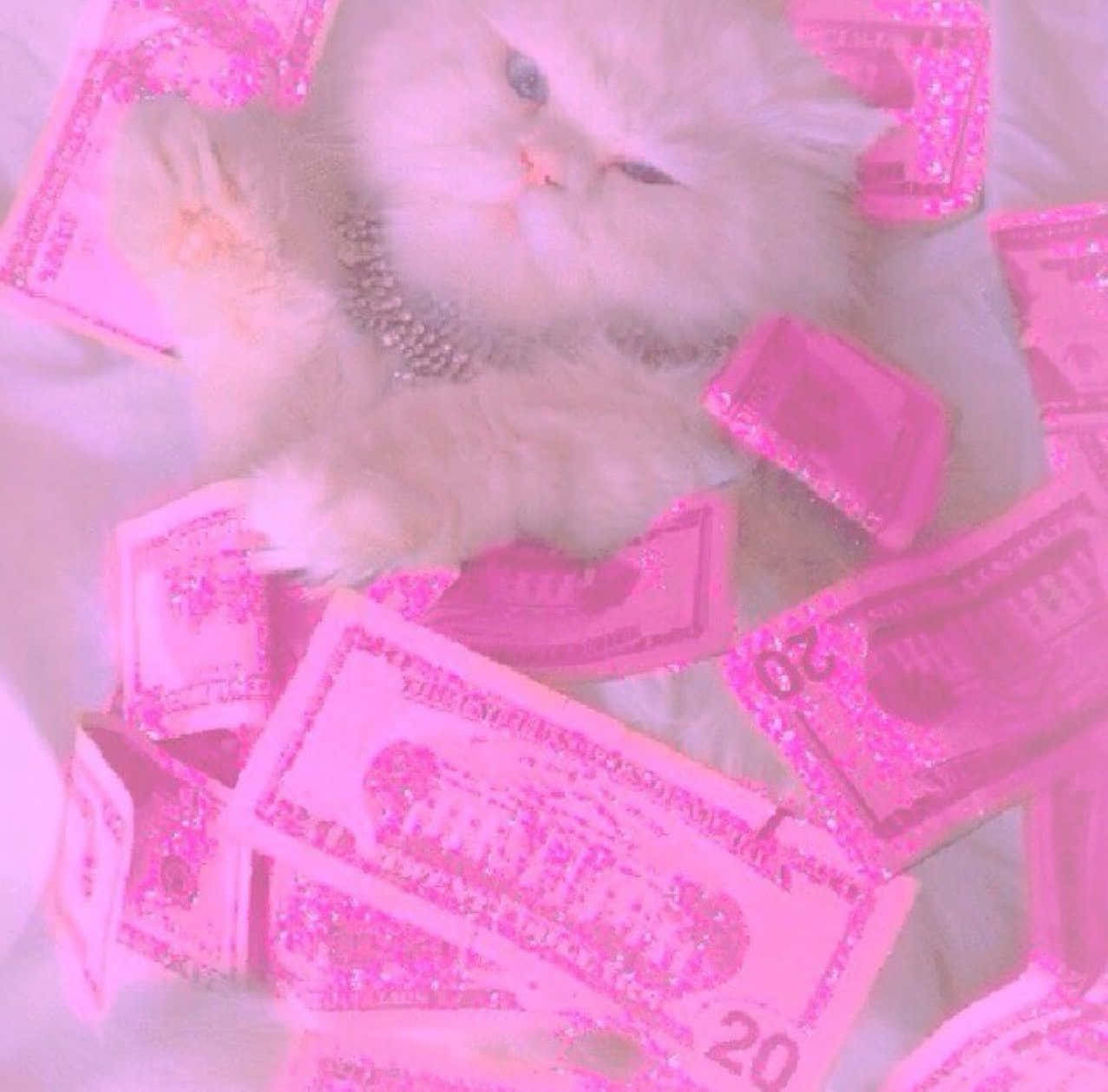 Opulent_ Feline_ Amid_ Pink_ Bills.jpg Wallpaper