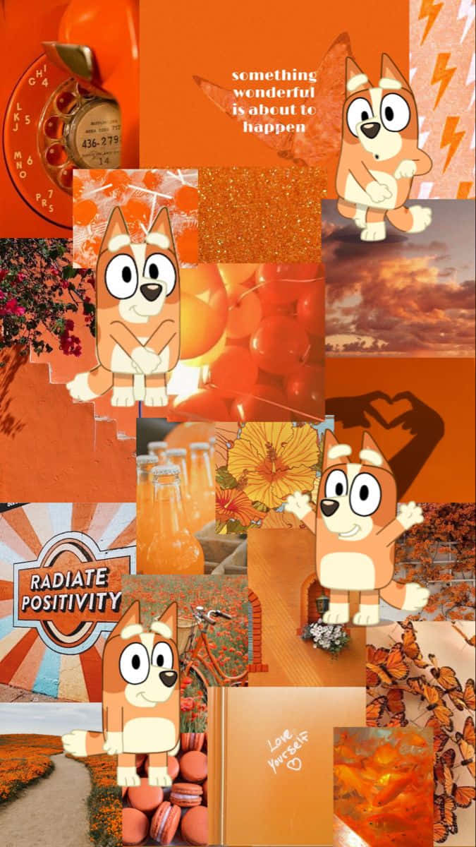 Orange Aesthetic Bluey Collage Wallpaper