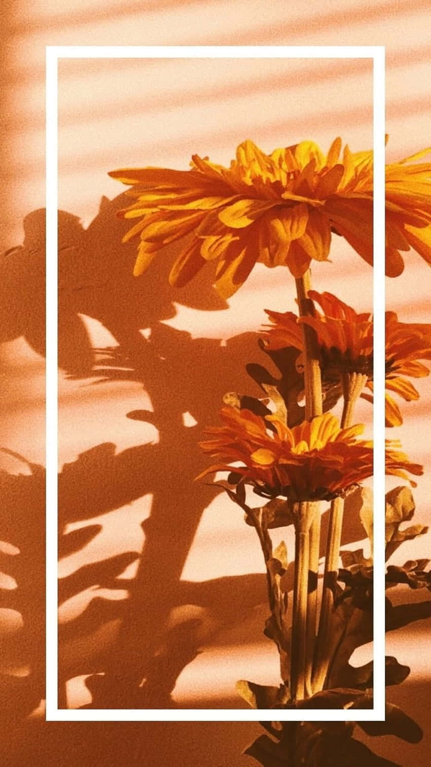 Orange Grunge Floral Aesthetic Wallpaper