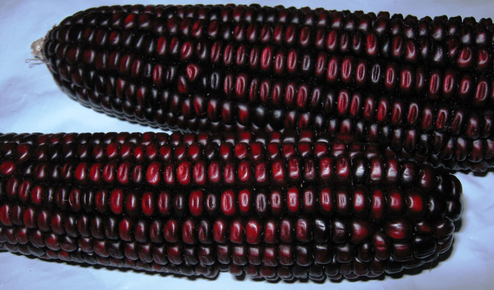 Organic Purple Corn - The Nutritional Power Of Nature. Wallpaper