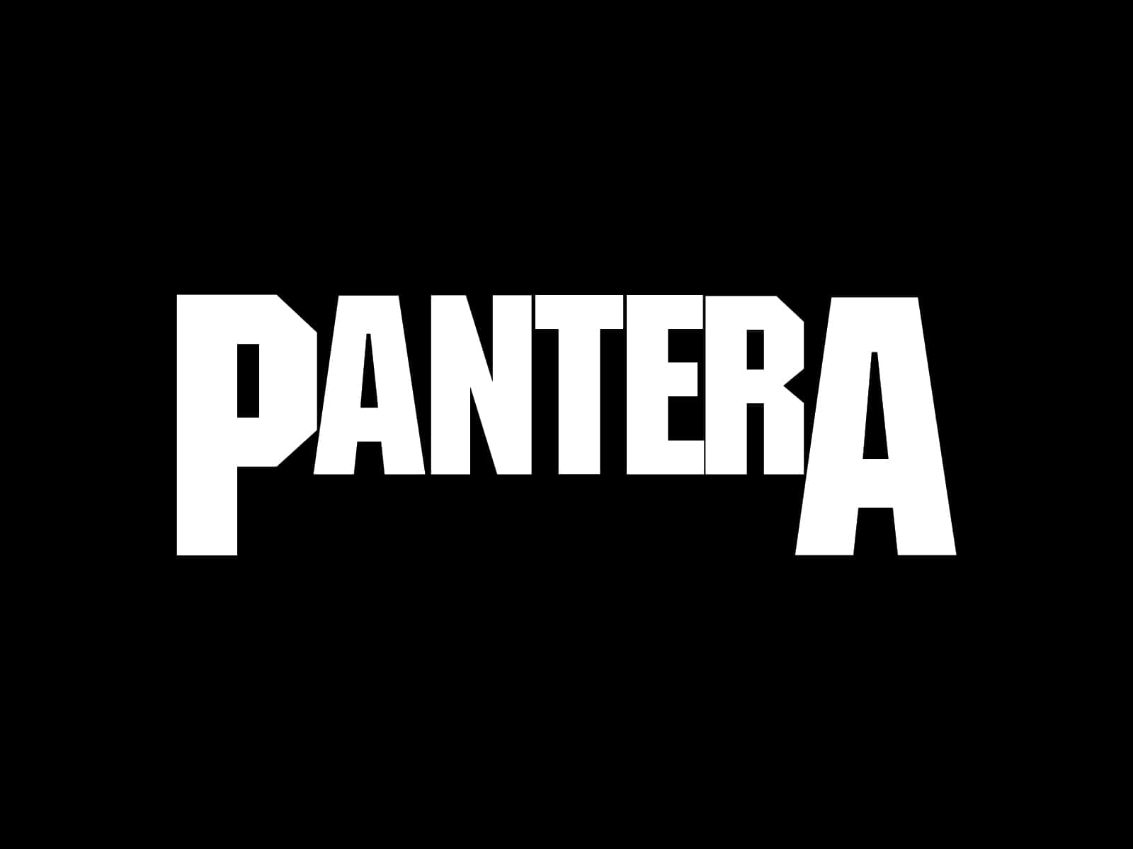 Outfit For Combat: Pantera Wallpaper