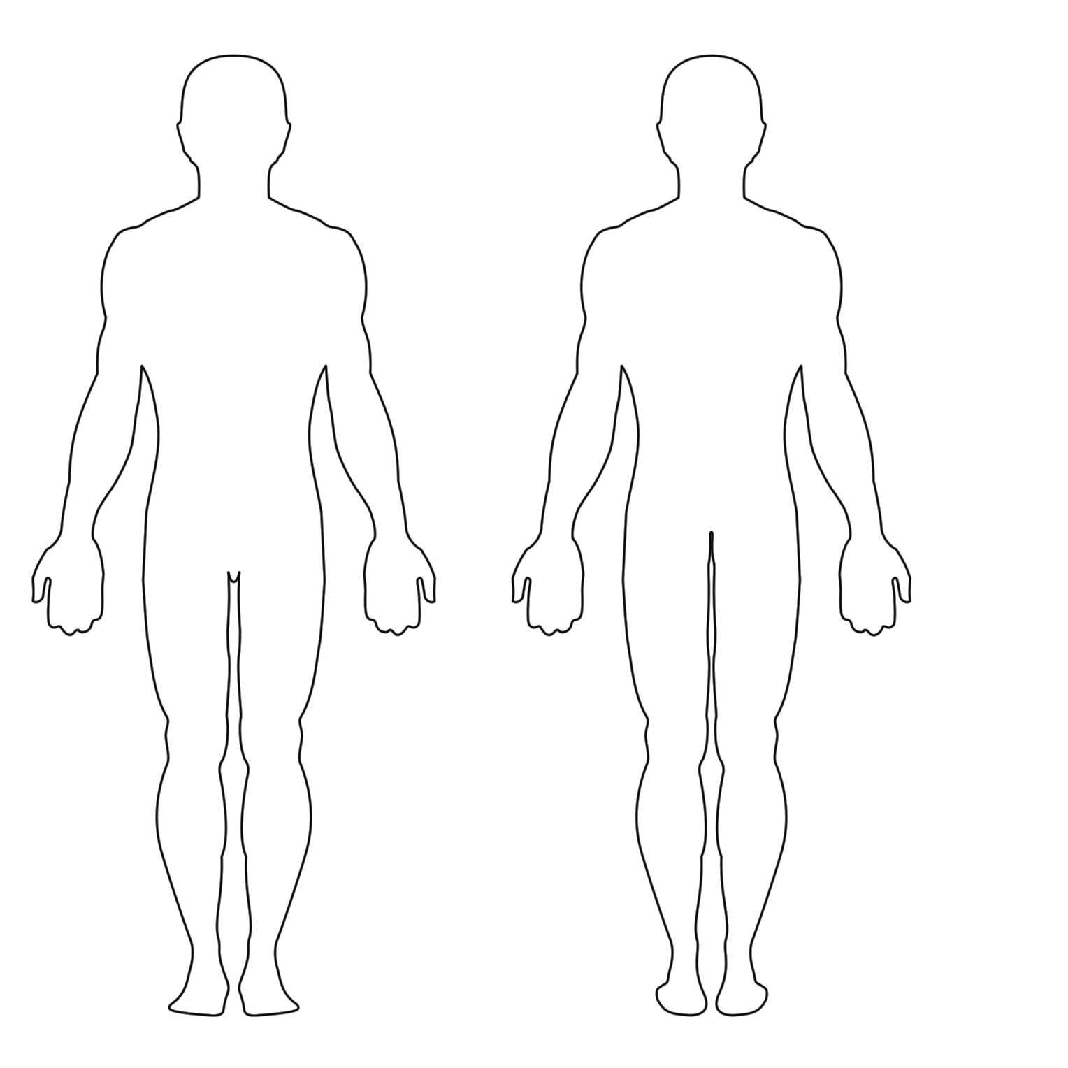 Outline Human Body Wallpaper