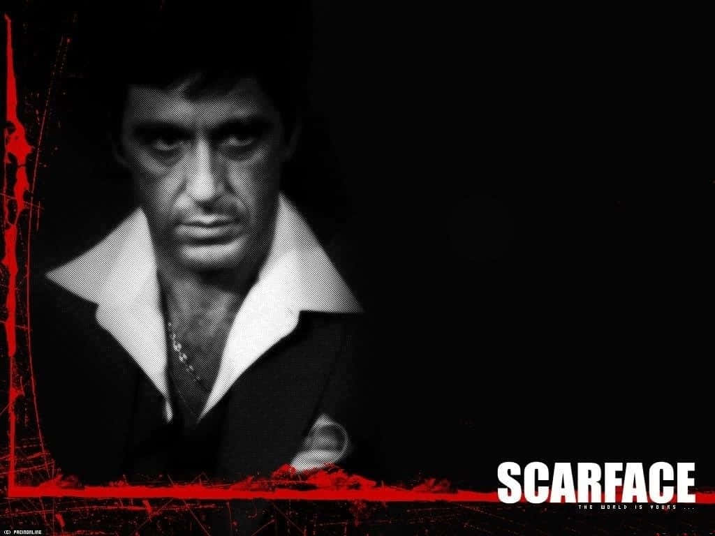 Outstanding Desktop Wallpaper Featuring The Great Scarface Wallpaper