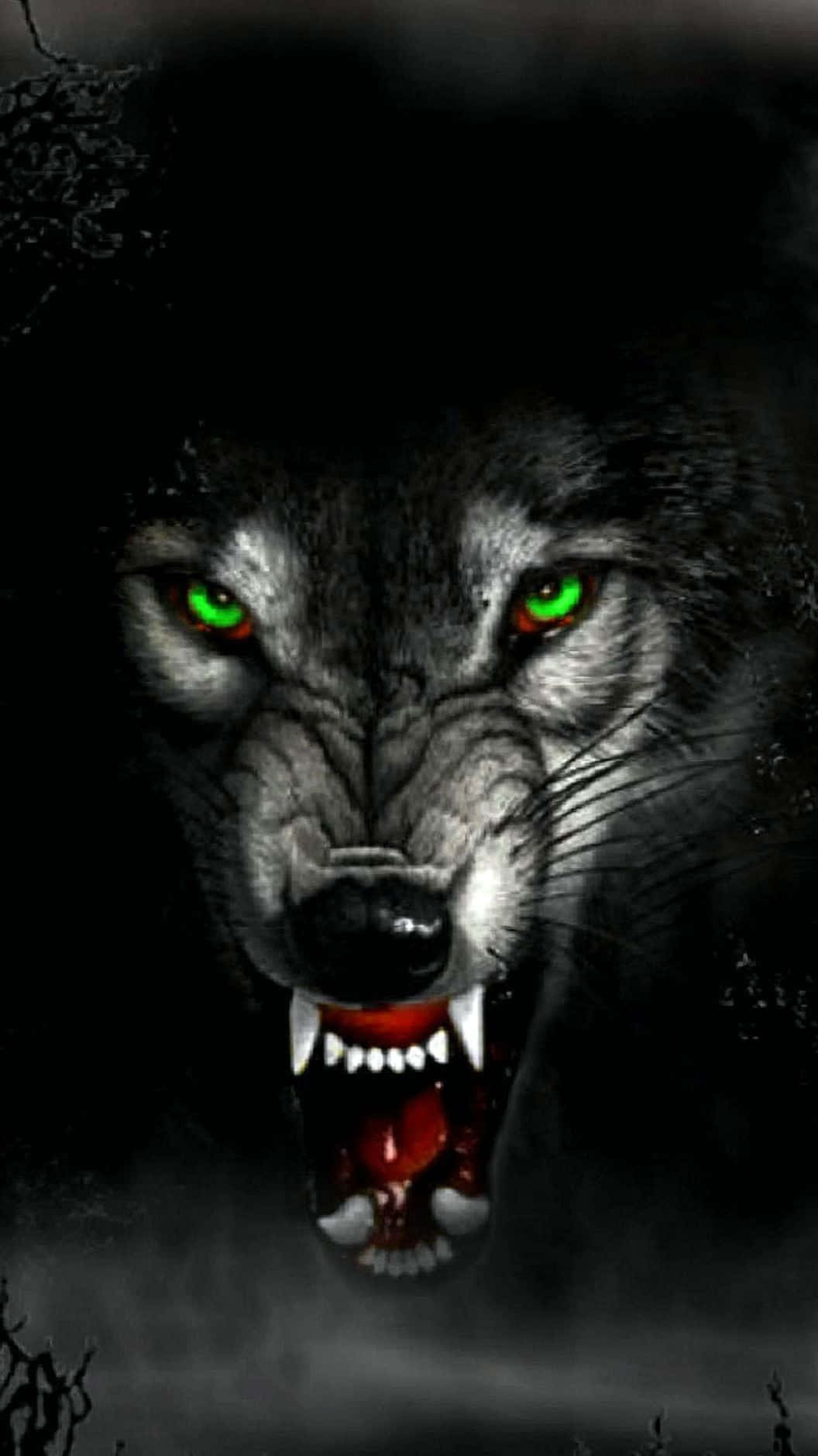 Overt Wolf Wallpaper