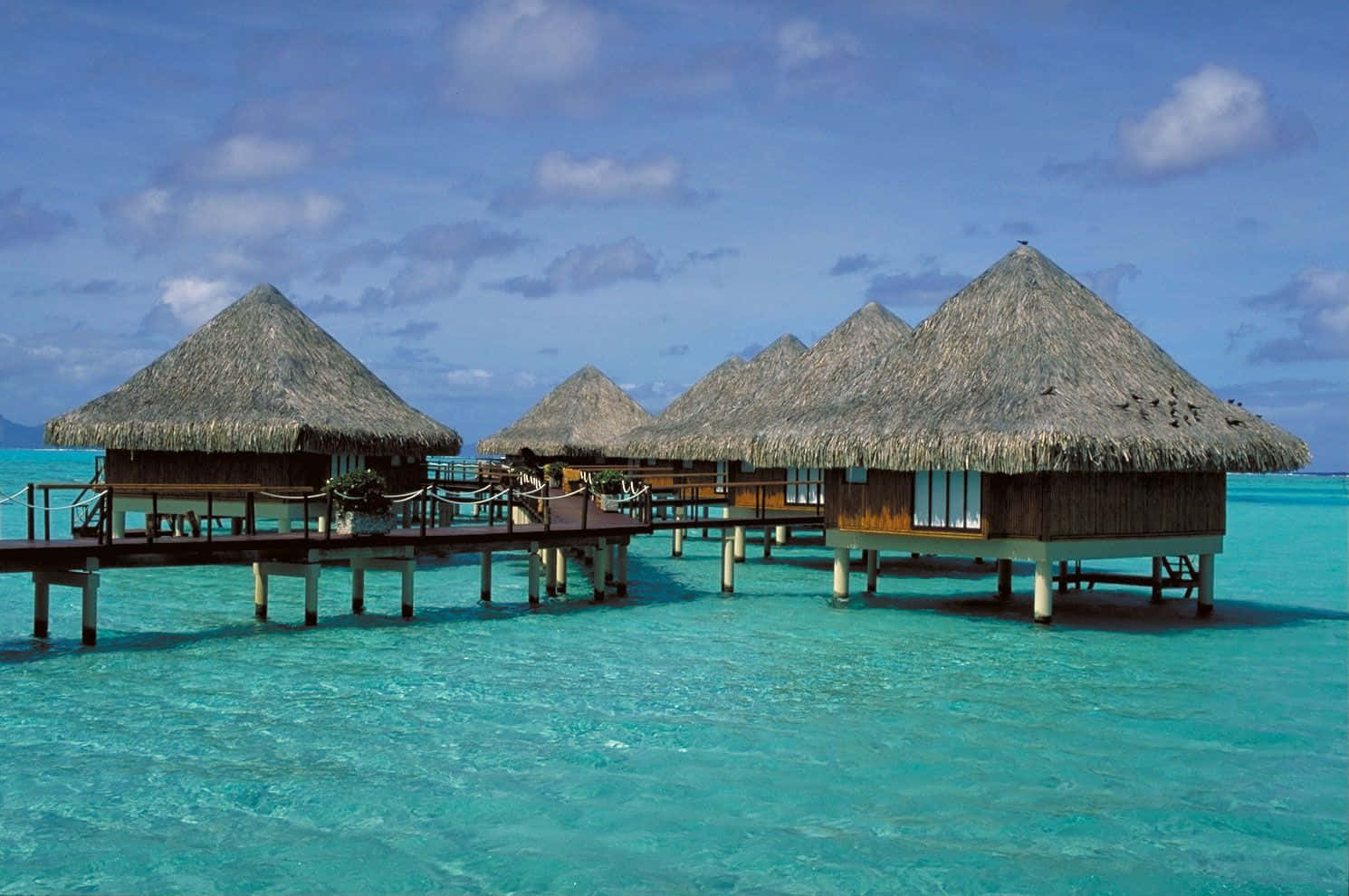 Overwater Bungalows At Breathtaking Bora Bora Beach Wallpaper