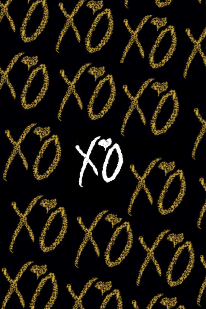 Ovoxo Logo Wallpaper