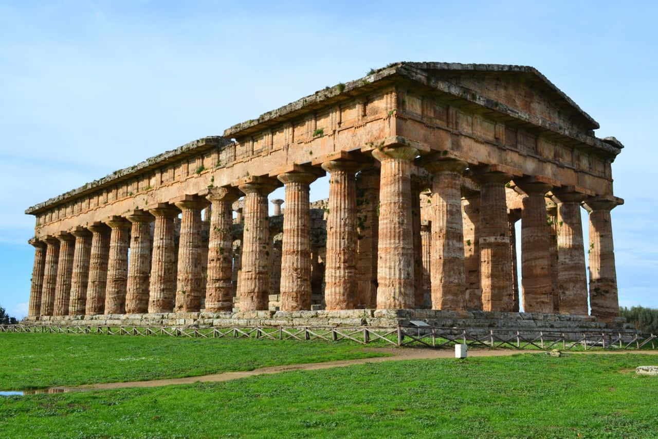 Paestum Cut Green Grass Wallpaper