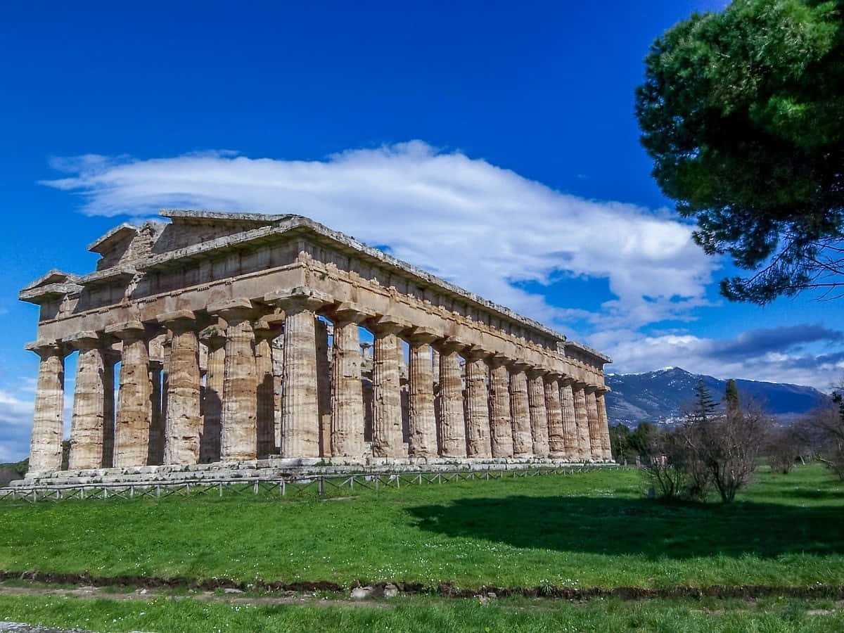 Paestum Grassy Sunny Day Wallpaper