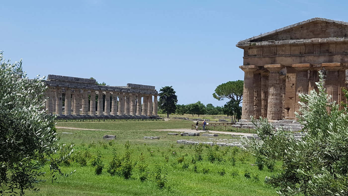 Paestum Twin Buildings Wallpaper