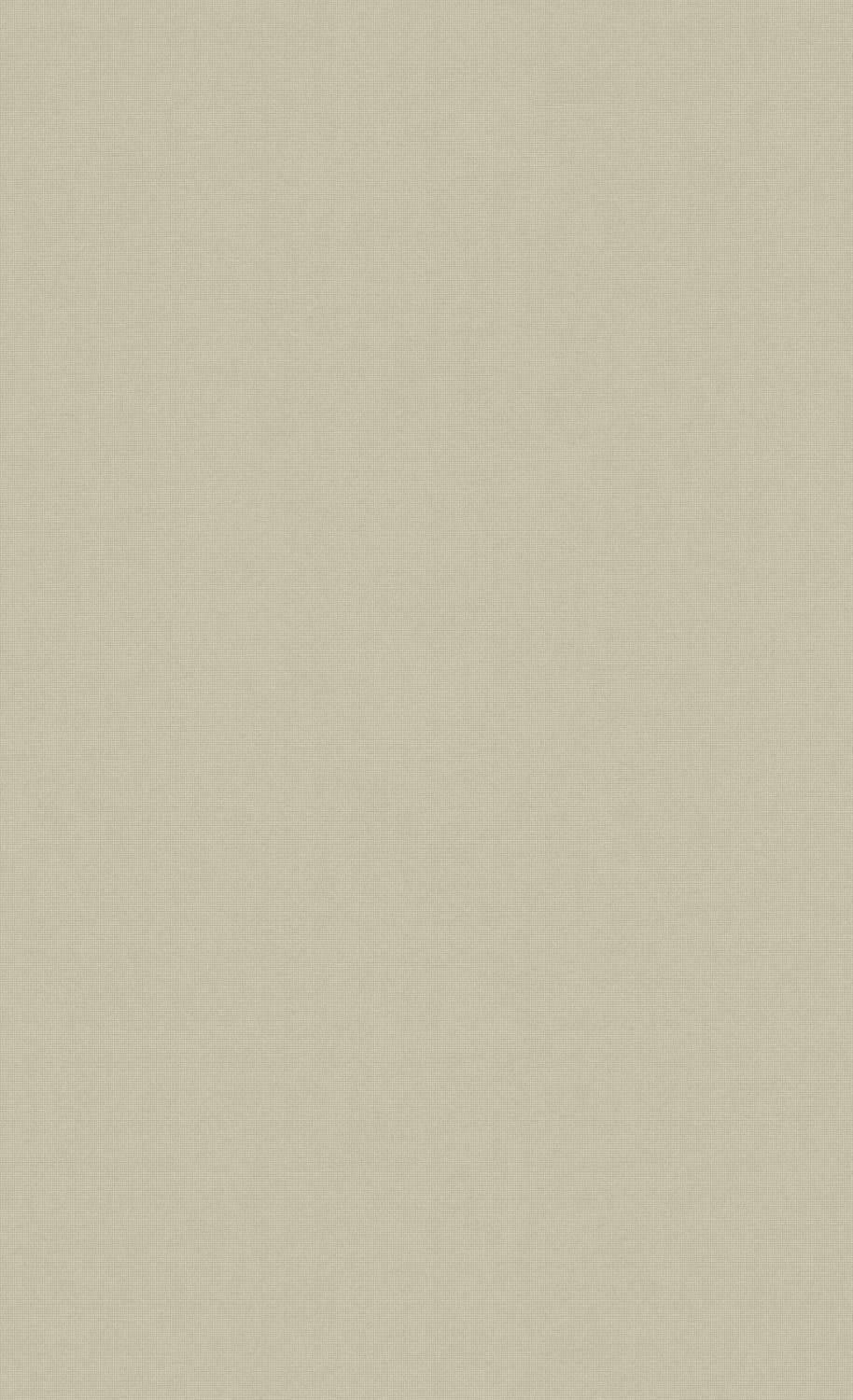 Pale Aesthetic Beige Wallpaper