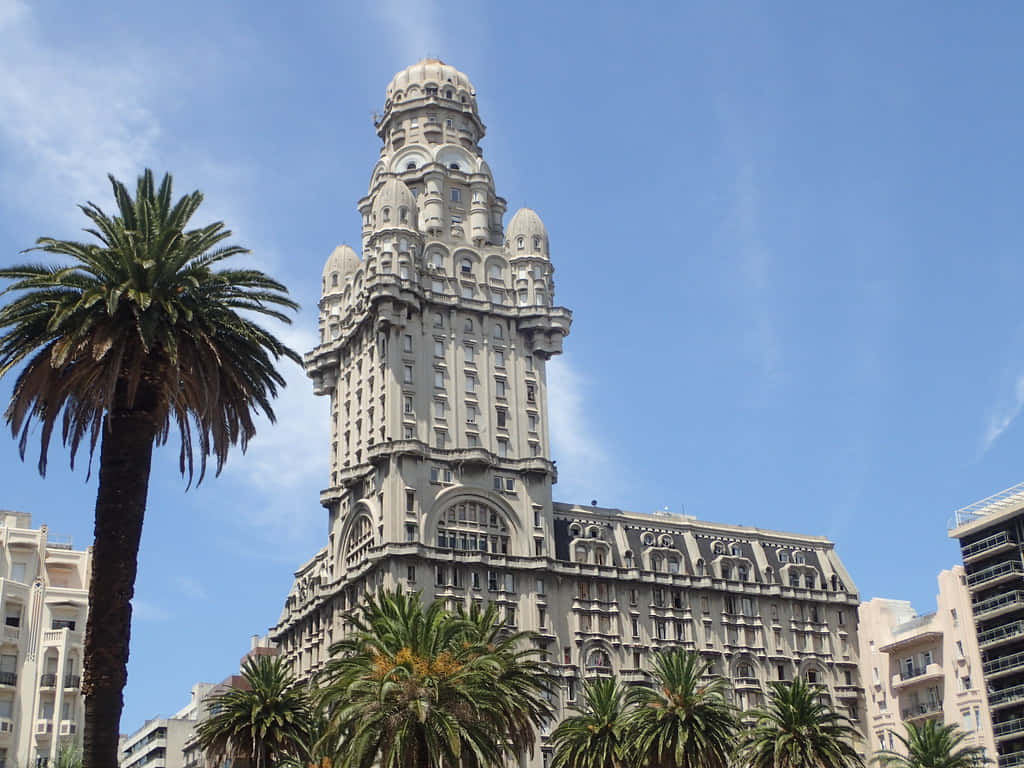 Palm Tree Beside Palacio Salvo Wallpaper