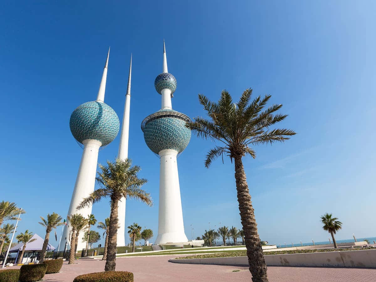 Palm Trees Below Kuwait Towers Wallpaper