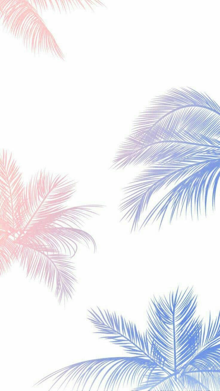 Palm Trees Pretty Phone Wallpaper