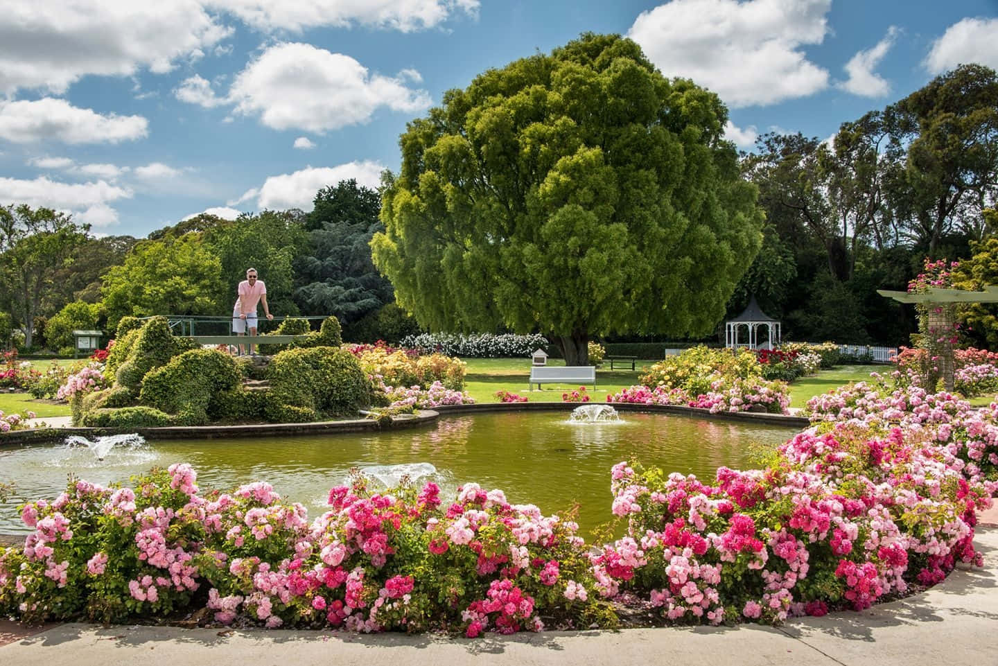 Palmerston North Victoria Esplanade Gardens Wallpaper