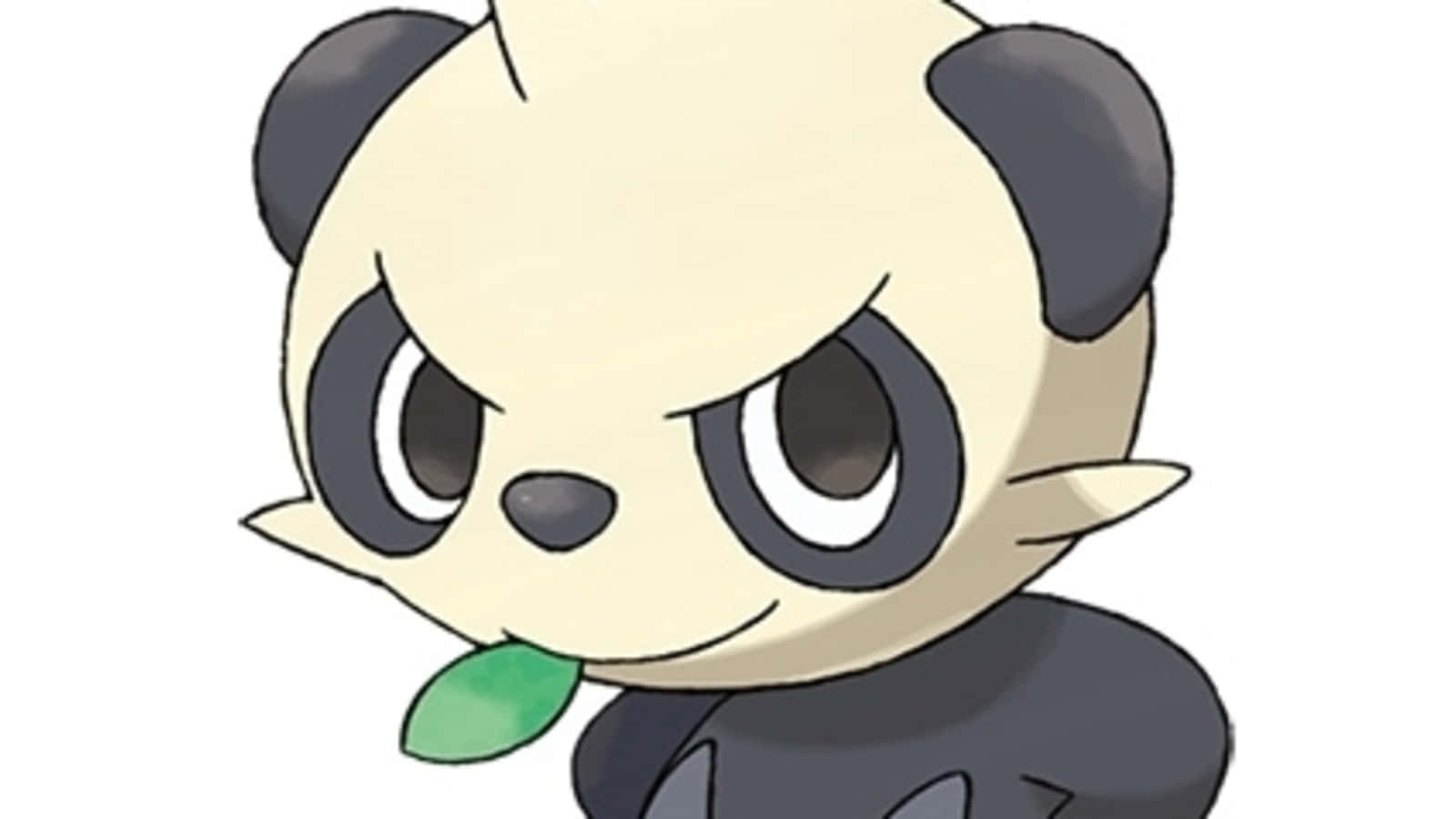 Pancham Close-up Wallpaper