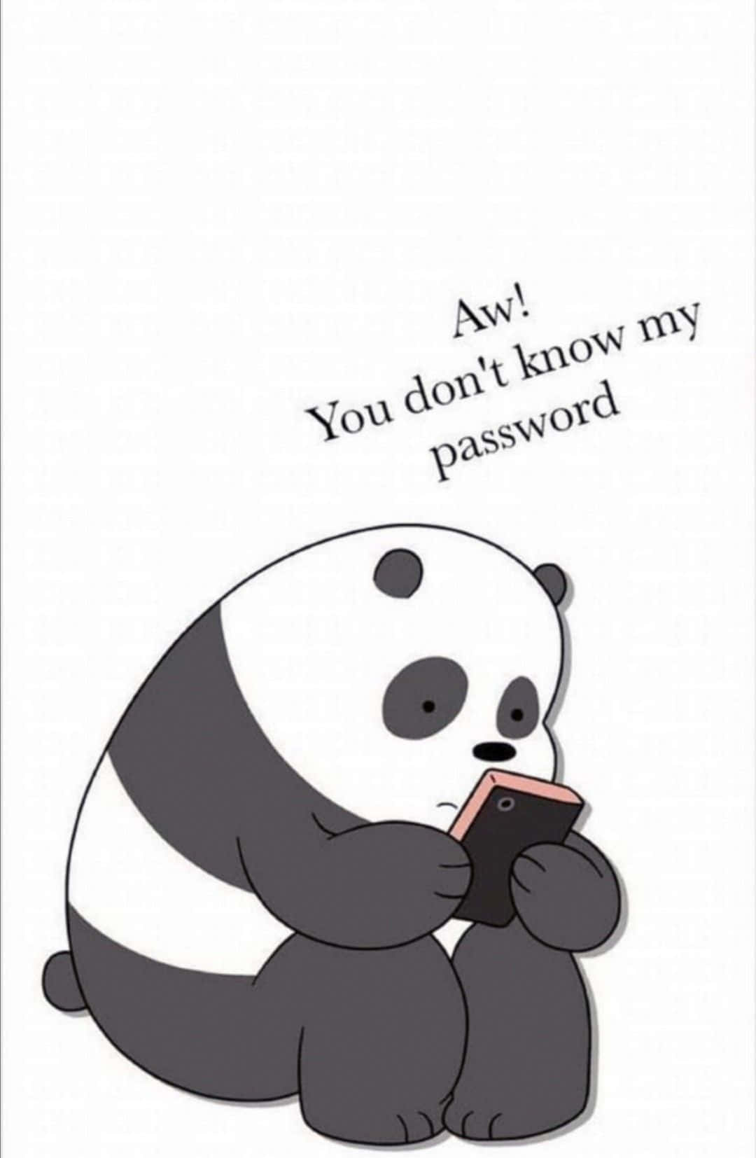 Panda Password Secret Cartoon Wallpaper