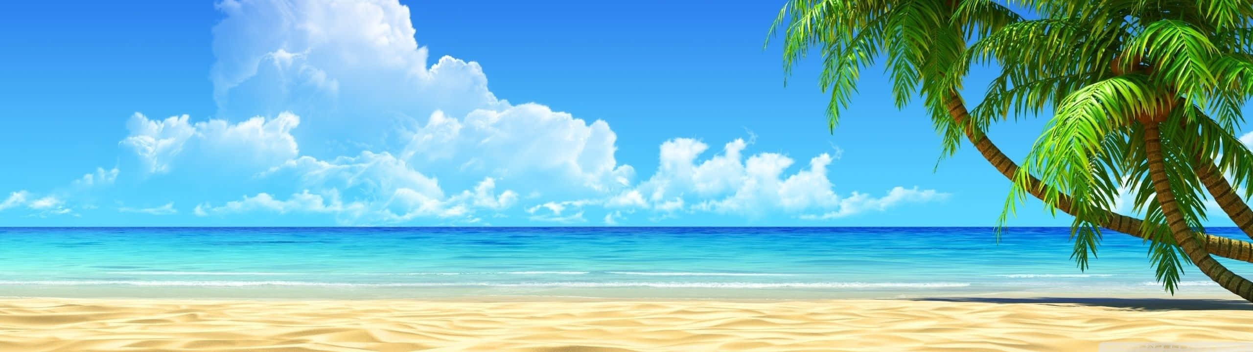 Panorama Beach Dual Monitor Wallpaper