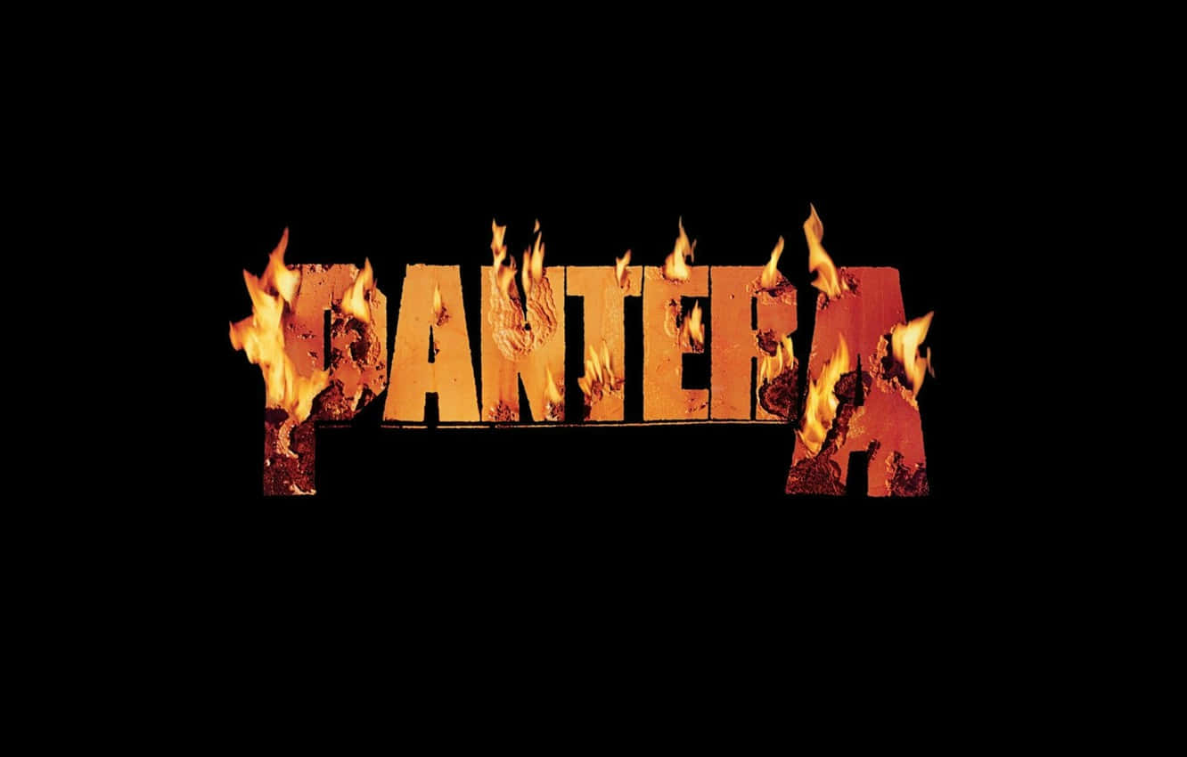 Pantera Performs At A Raucous Concert Wallpaper