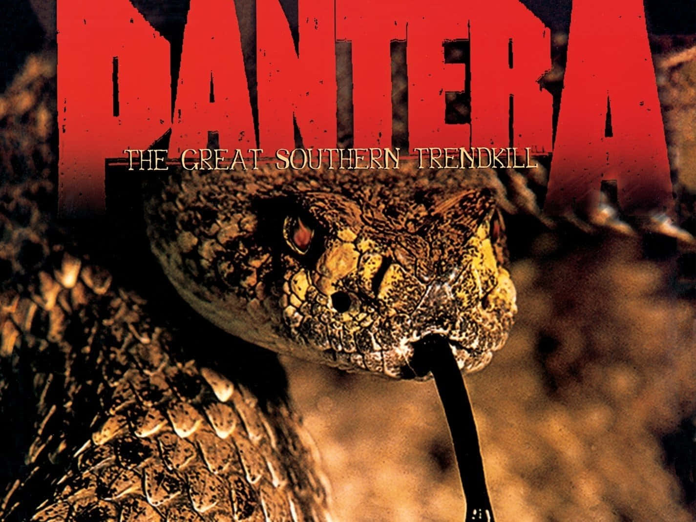 Pantera The Great Southern King Snake Wallpaper